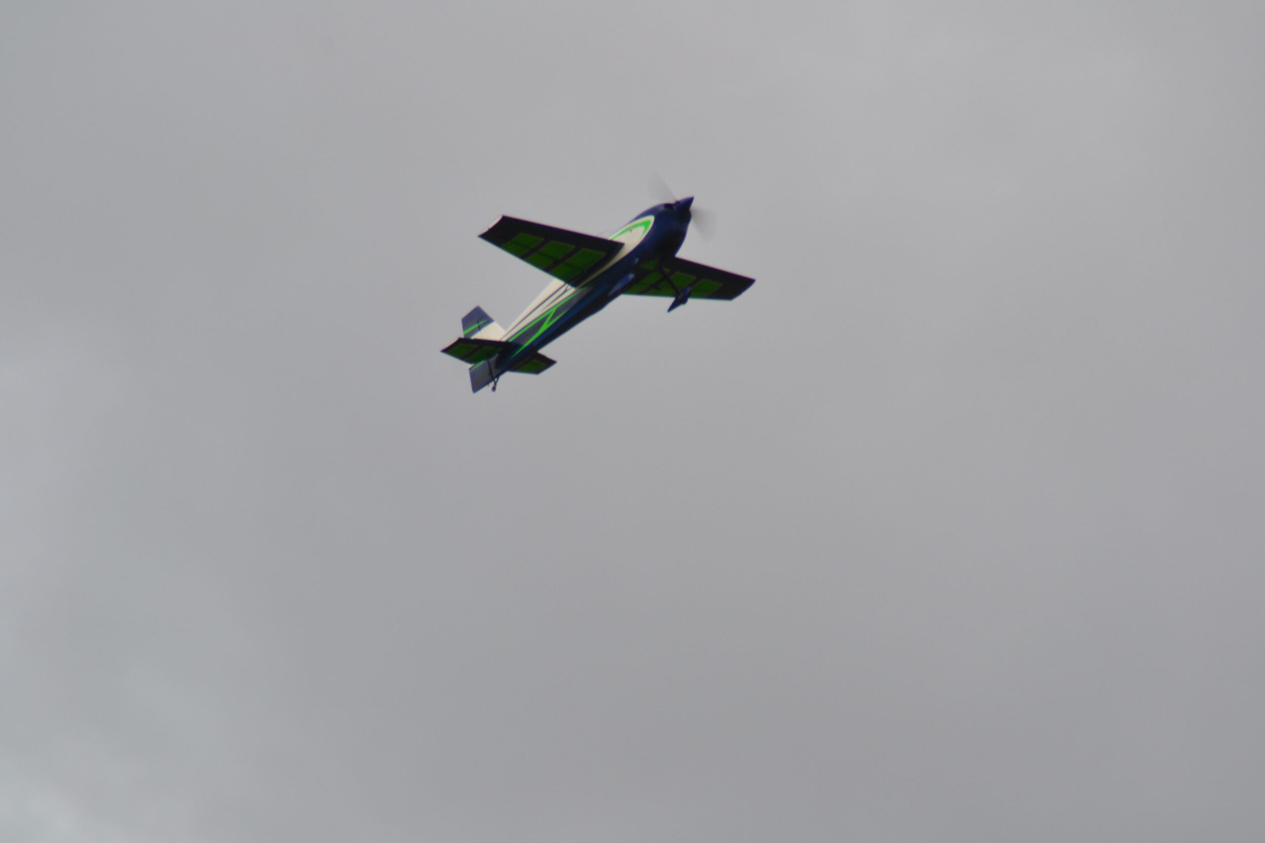 DSC_0348